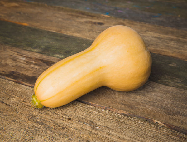 Butternut