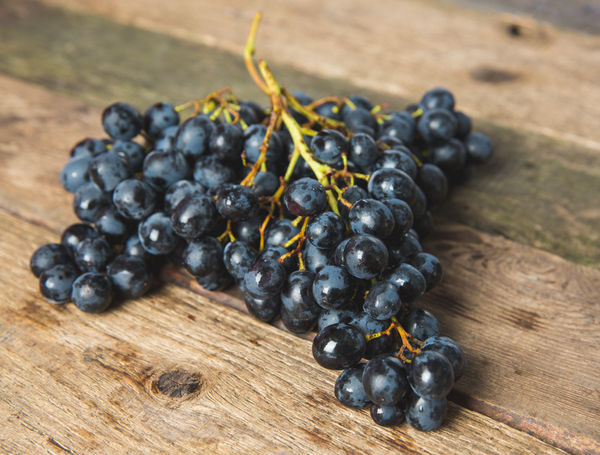 Grapes - Blue Muscat